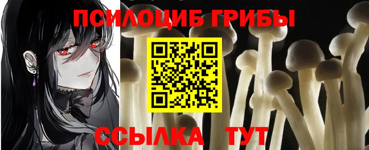 Галлюциногенные грибы Psilocybe  Вход с VPN  Псилоцибиновые грибы Psilocybine cubensis  Ессентуки 