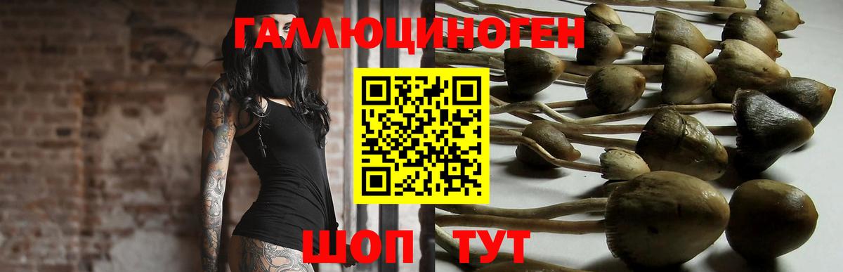 Псилоцибиновые грибы GOLDEN TEACHER Ессентуки